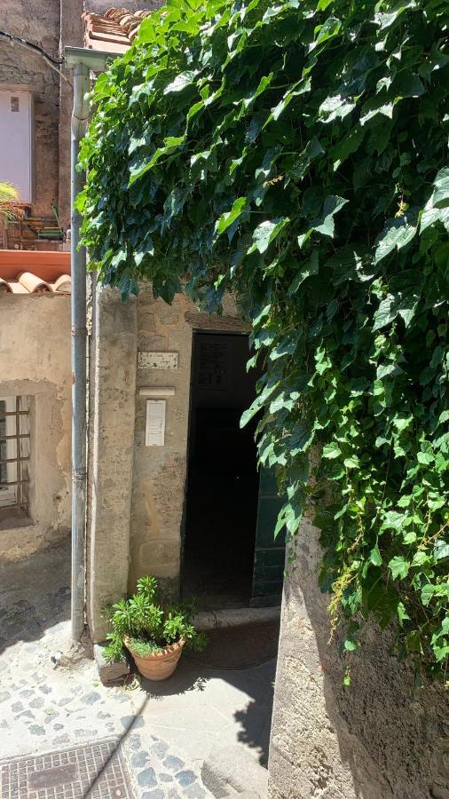 La Casa Sul Lago Anguillara Sabazia Exterior foto